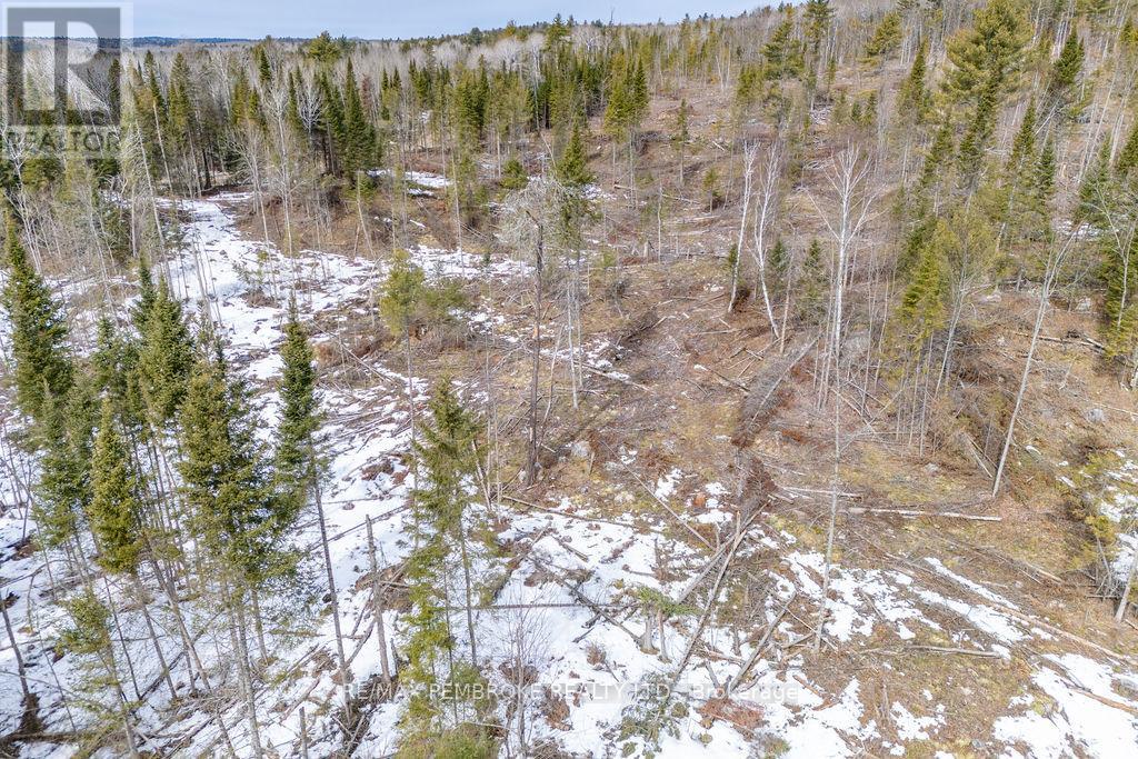744 Black Creek Road, North Algona Wilberforce, Ontario  K8A 6W5 - Photo 17 - X12023771