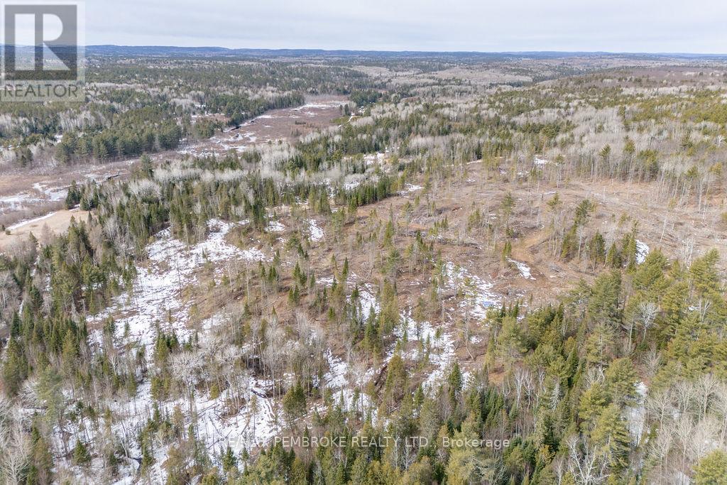 744 Black Creek Road, North Algona Wilberforce, Ontario  K8A 6W5 - Photo 18 - X12023771