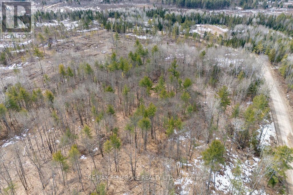 744 Black Creek Road, North Algona Wilberforce, Ontario  K8A 6W5 - Photo 19 - X12023771