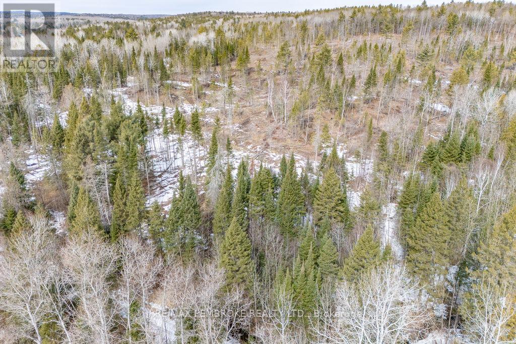 744 Black Creek Road, North Algona Wilberforce, Ontario  K8A 6W5 - Photo 2 - X12023771