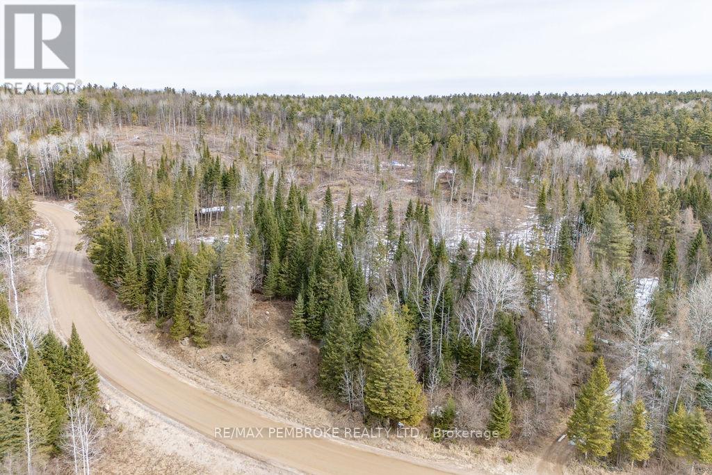 744 Black Creek Road, North Algona Wilberforce, Ontario  K8A 6W5 - Photo 20 - X12023771