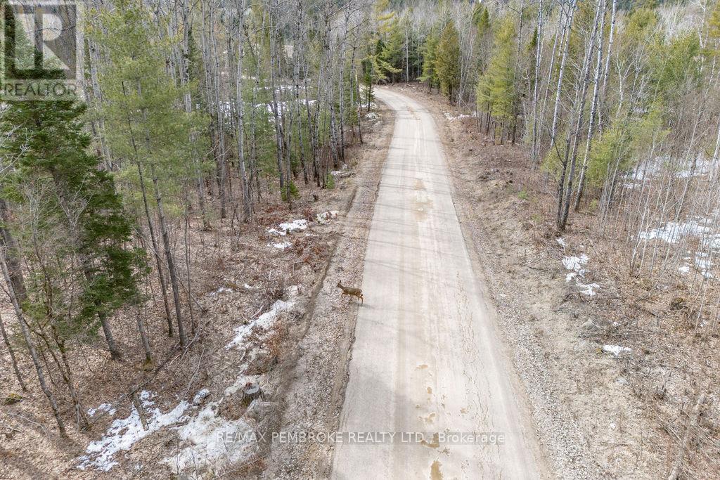 744 Black Creek Road, North Algona Wilberforce, Ontario  K8A 6W5 - Photo 23 - X12023771