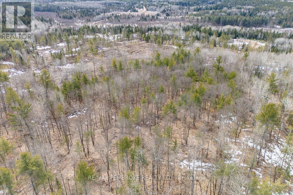 744 Black Creek Road, North Algona Wilberforce, Ontario  K8A 6W5 - Photo 24 - X12023771