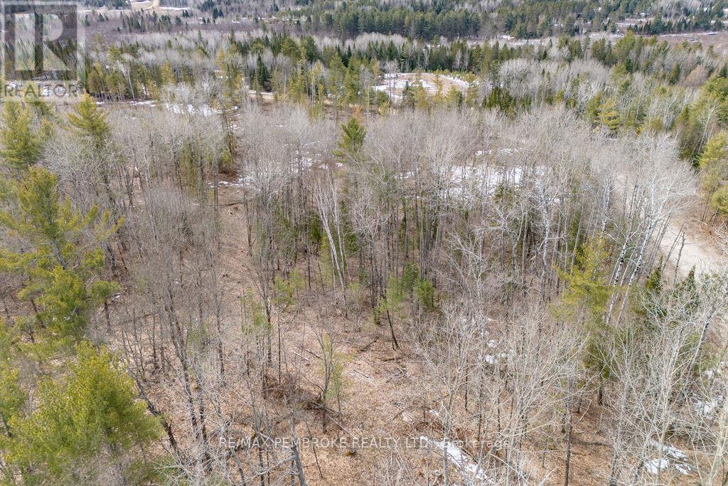 744 Black Creek Road, North Algona Wilberforce, Ontario  K8A 6W5 - Photo 25 - X12023771