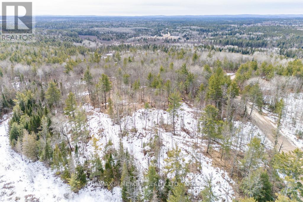 744 Black Creek Road, North Algona Wilberforce, Ontario  K8A 6W5 - Photo 26 - X12023771