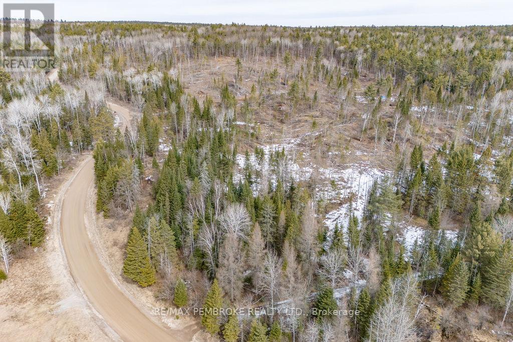 744 Black Creek Road, North Algona Wilberforce, Ontario  K8A 6W5 - Photo 29 - X12023771