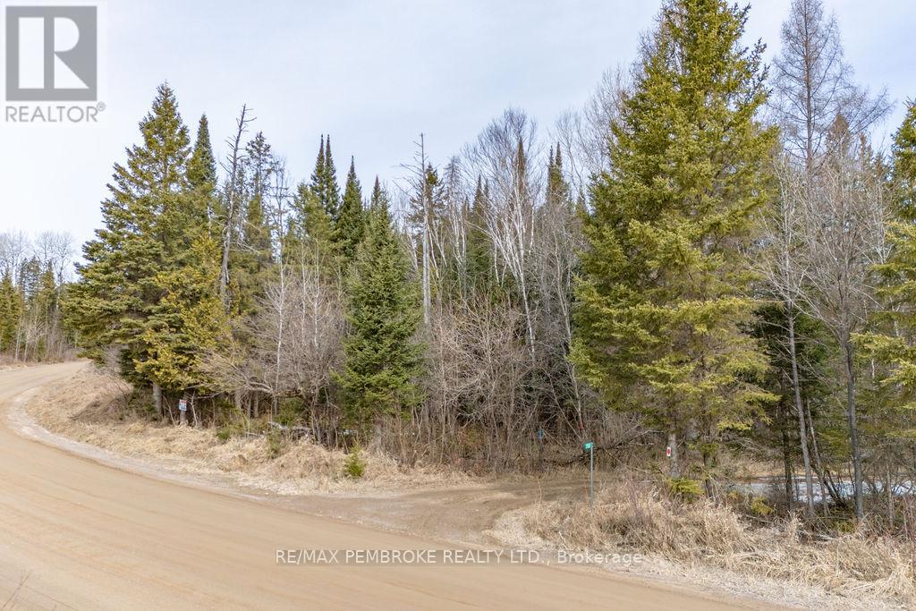 744 Black Creek Road, North Algona Wilberforce, Ontario  K8A 6W5 - Photo 30 - X12023771