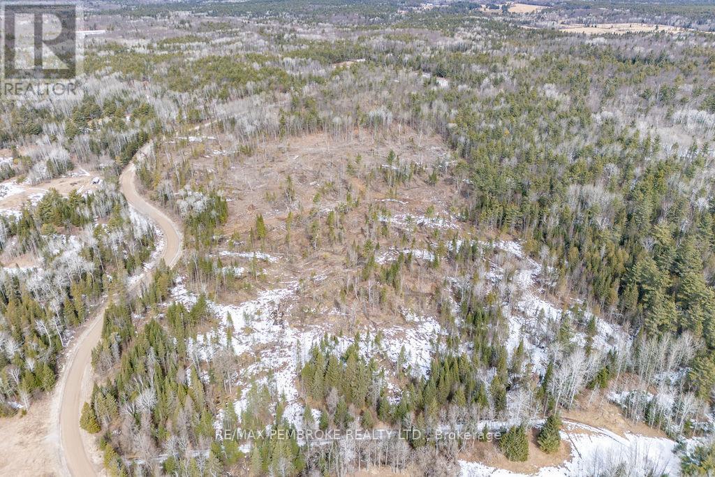 744 Black Creek Road, North Algona Wilberforce, Ontario  K8A 6W5 - Photo 31 - X12023771