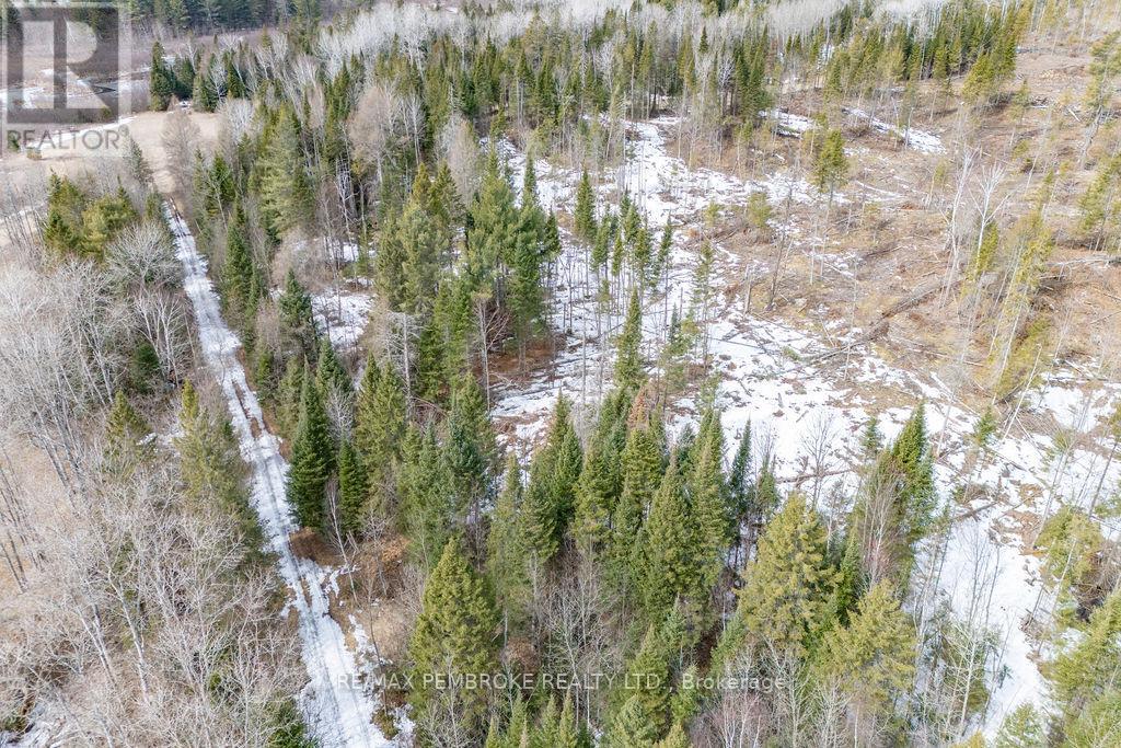 744 Black Creek Road, North Algona Wilberforce, Ontario  K8A 6W5 - Photo 33 - X12023771