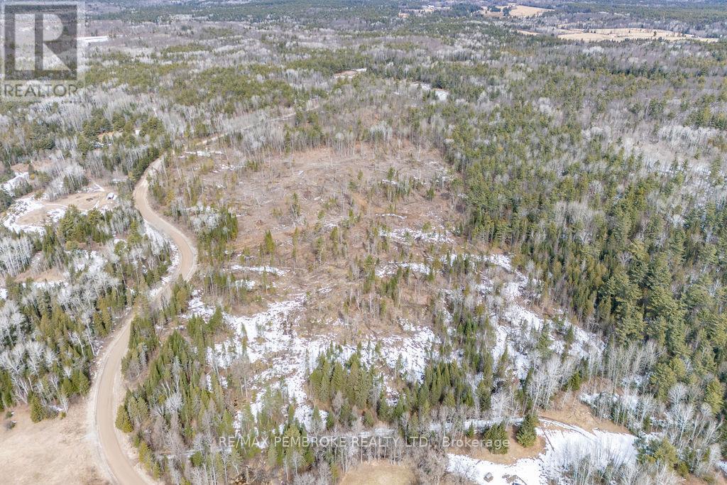 744 Black Creek Road, North Algona Wilberforce, Ontario  K8A 6W5 - Photo 34 - X12023771