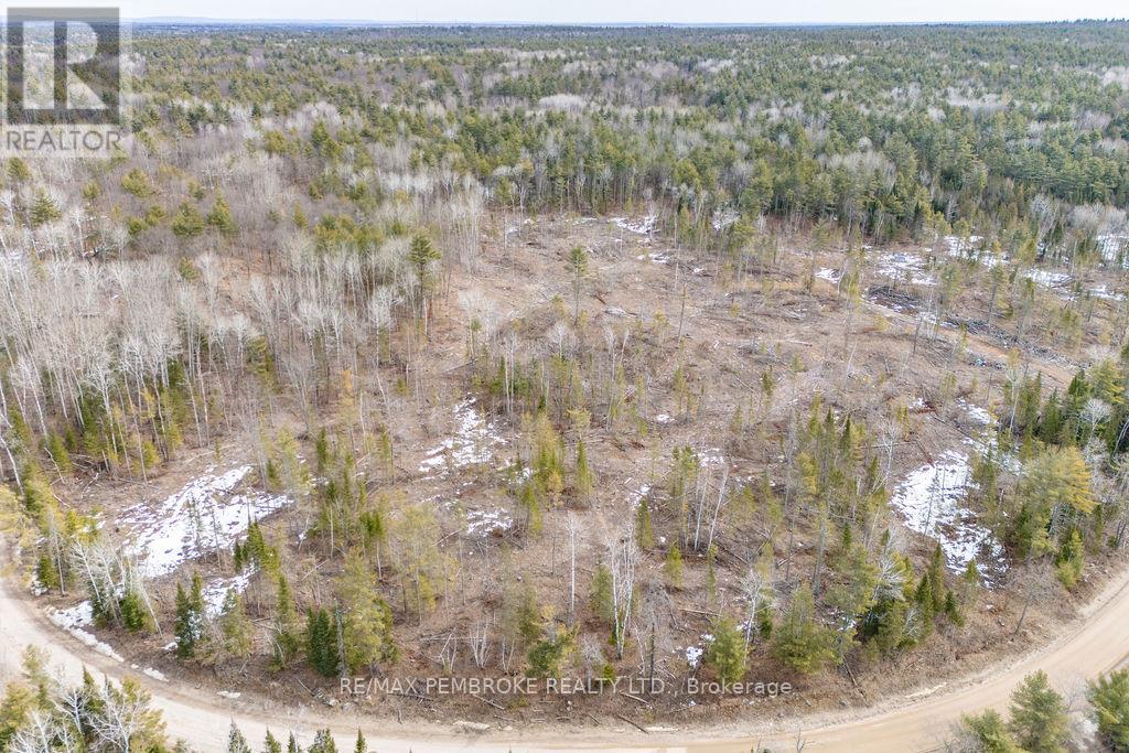 744 Black Creek Road, North Algona Wilberforce, Ontario  K8A 6W5 - Photo 35 - X12023771