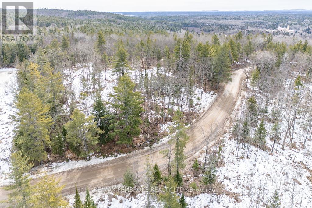 744 Black Creek Road, North Algona Wilberforce, Ontario  K8A 6W5 - Photo 37 - X12023771