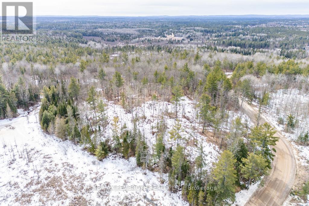 744 Black Creek Road, North Algona Wilberforce, Ontario  K8A 6W5 - Photo 38 - X12023771