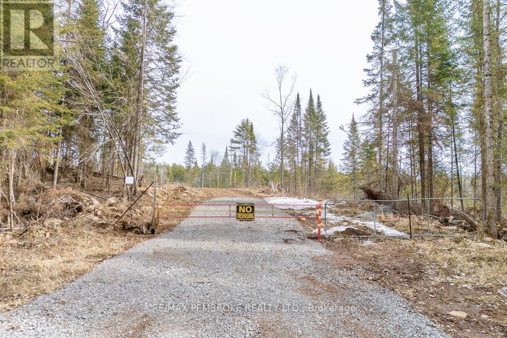 744 Black Creek Road, North Algona Wilberforce, Ontario  K8A 6W5 - Photo 39 - X12023771