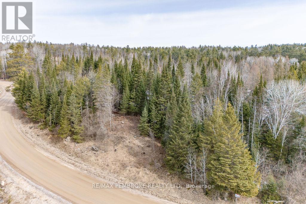 744 Black Creek Road, North Algona Wilberforce, Ontario  K8A 6W5 - Photo 4 - X12023771