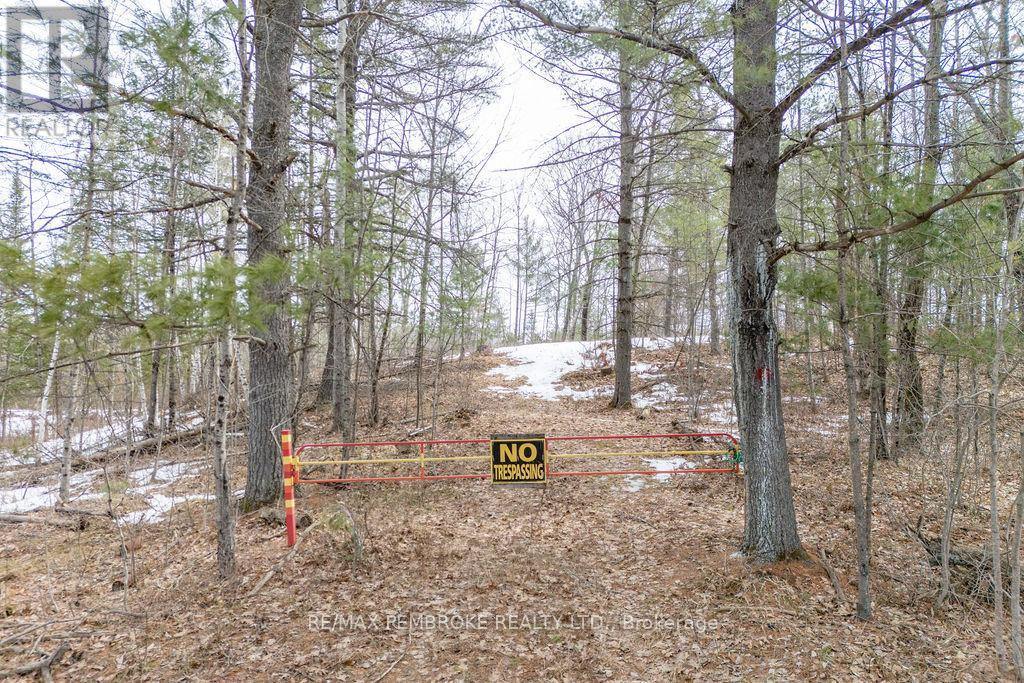 744 Black Creek Road, North Algona Wilberforce, Ontario  K8A 6W5 - Photo 41 - X12023771