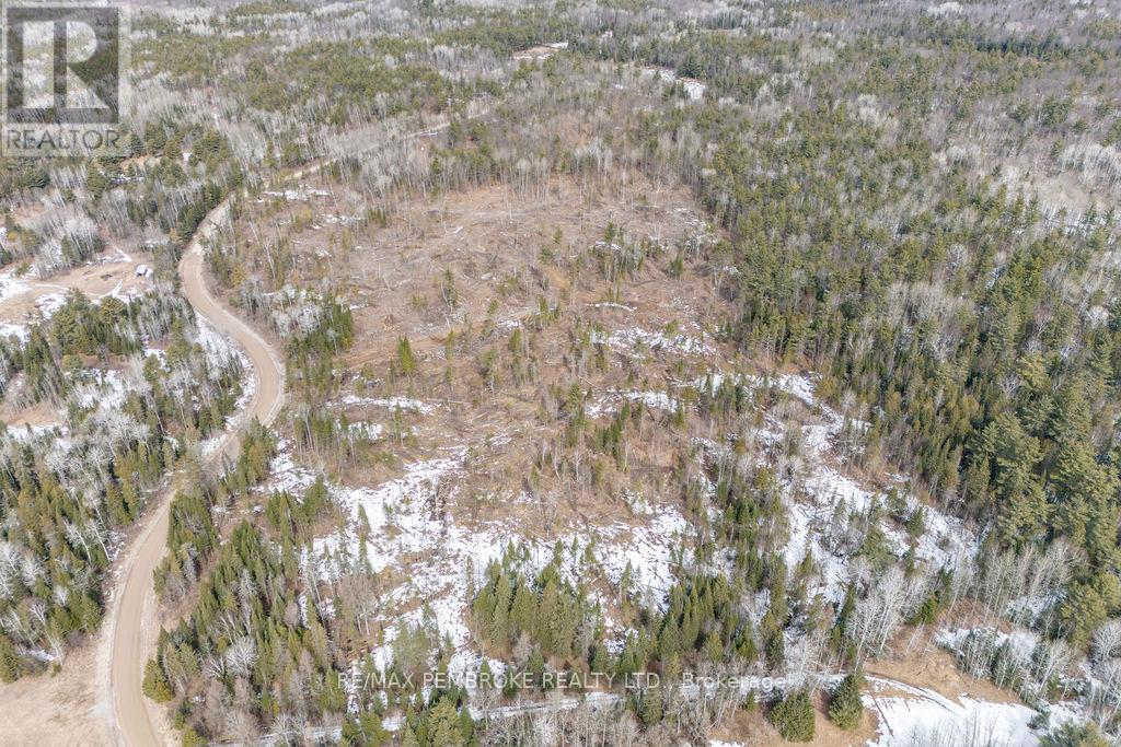 744 Black Creek Road, North Algona Wilberforce, Ontario  K8A 6W5 - Photo 42 - X12023771