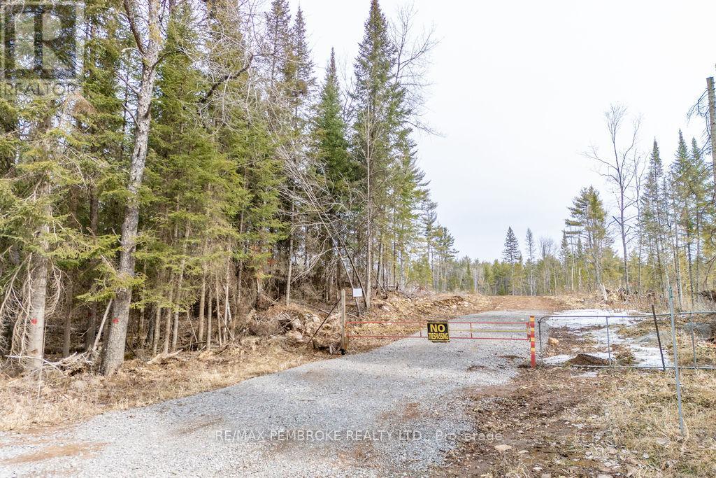 744 Black Creek Road, North Algona Wilberforce, Ontario  K8A 6W5 - Photo 43 - X12023771