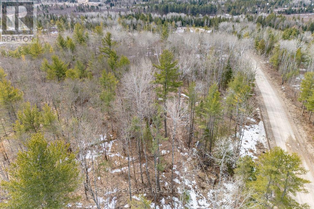 744 Black Creek Road, North Algona Wilberforce, Ontario  K8A 6W5 - Photo 44 - X12023771