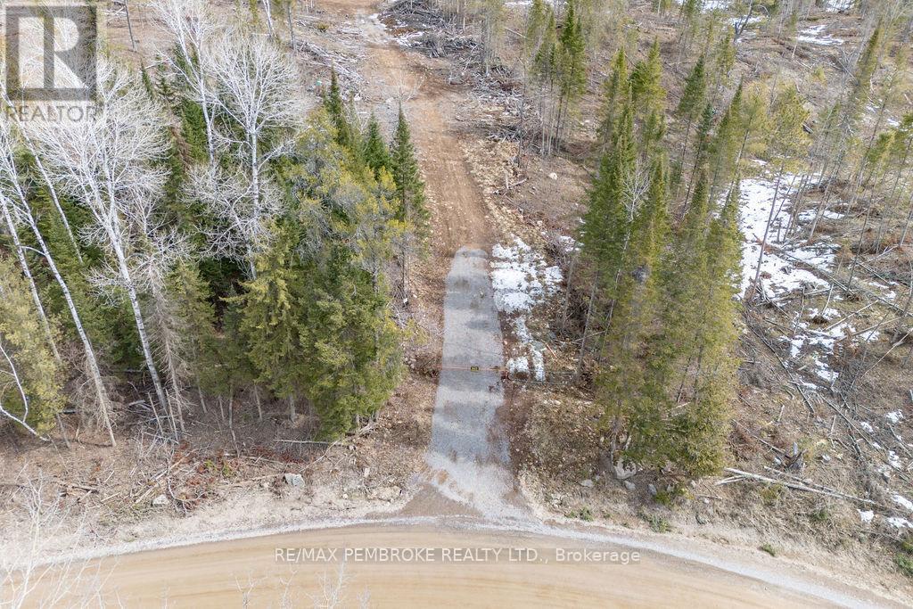744 Black Creek Road, North Algona Wilberforce, Ontario  K8A 6W5 - Photo 45 - X12023771