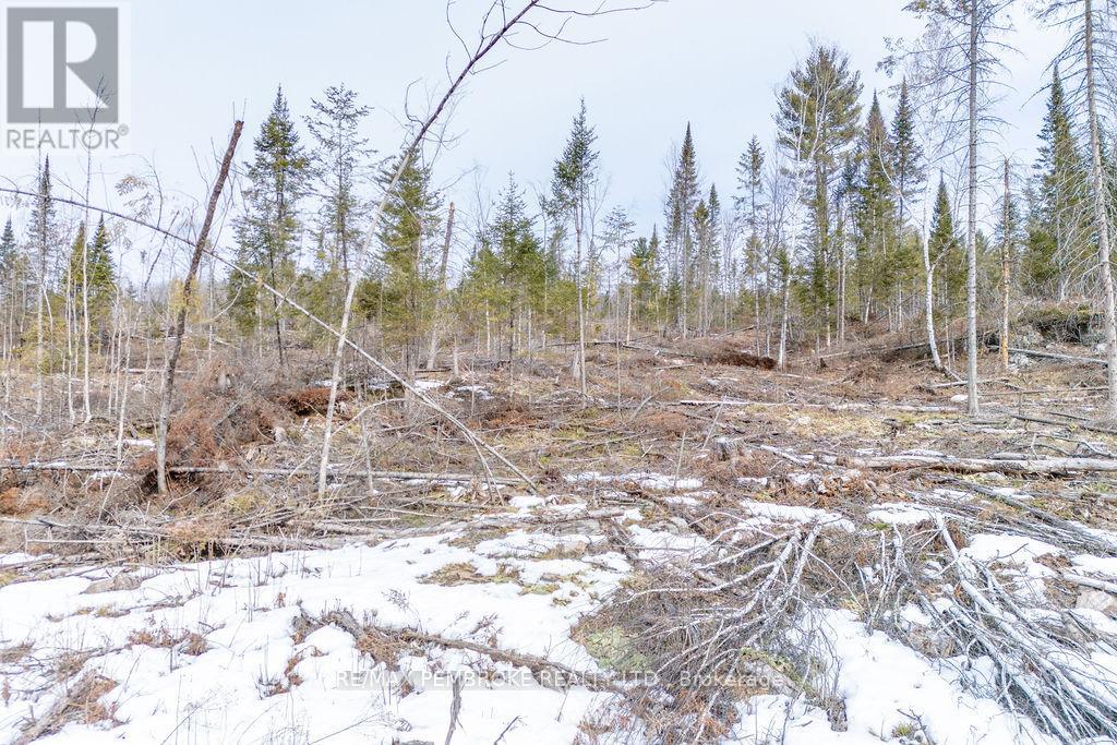 744 Black Creek Road, North Algona Wilberforce, Ontario  K8A 6W5 - Photo 46 - X12023771