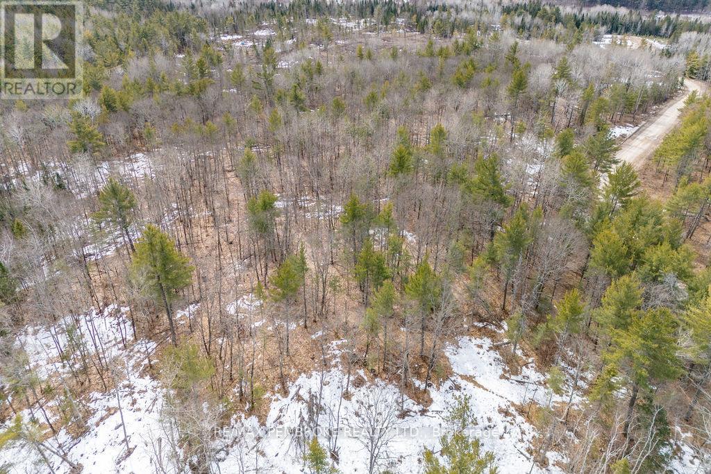 744 Black Creek Road, North Algona Wilberforce, Ontario  K8A 6W5 - Photo 47 - X12023771