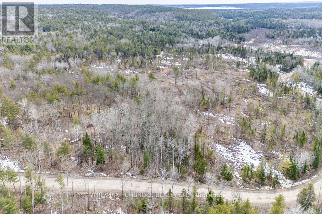 744 Black Creek Road, North Algona Wilberforce, Ontario  K8A 6W5 - Photo 48 - X12023771