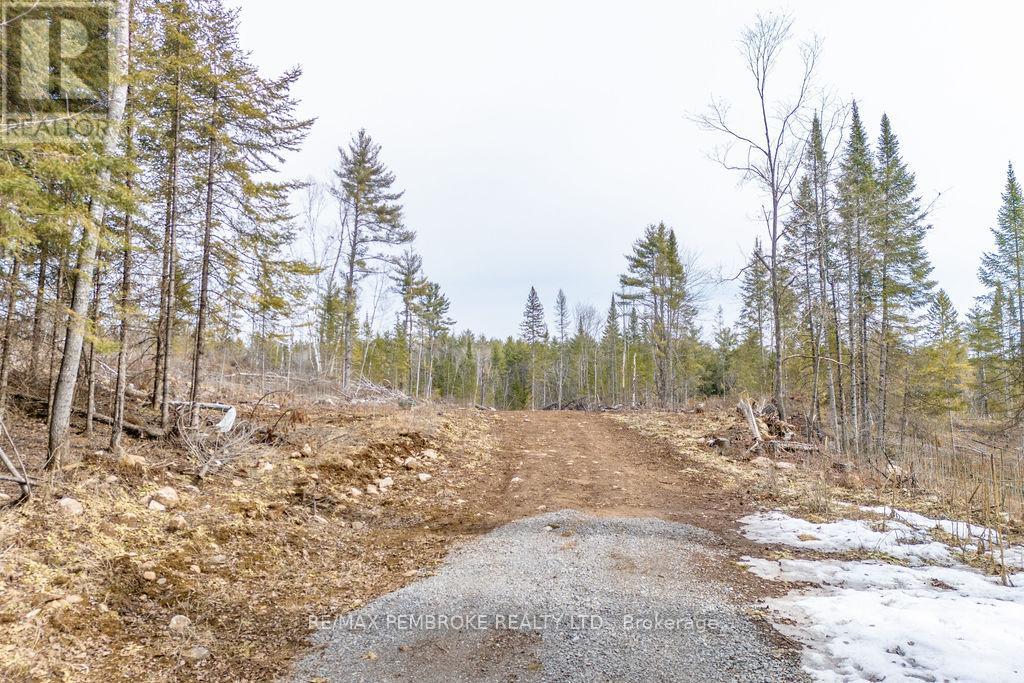 744 Black Creek Road, North Algona Wilberforce, Ontario  K8A 6W5 - Photo 49 - X12023771