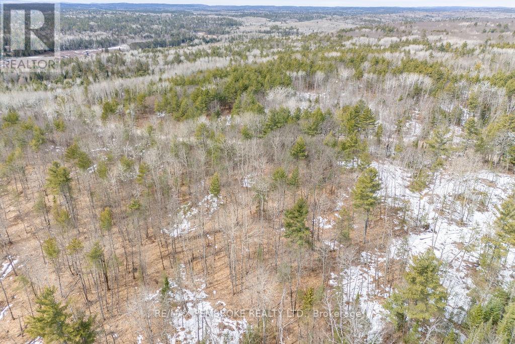 744 Black Creek Road, North Algona Wilberforce, Ontario  K8A 6W5 - Photo 5 - X12023771
