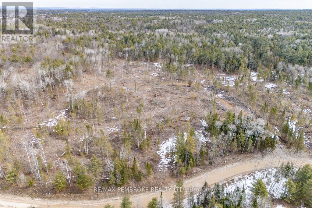 744 Black Creek Road, North Algona Wilberforce, Ontario  K8A 6W5 - Photo 6 - X12023771