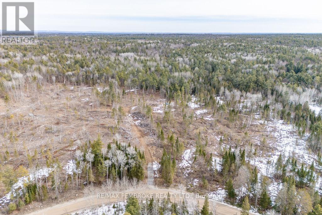 744 Black Creek Road, North Algona Wilberforce, Ontario  K8A 6W5 - Photo 8 - X12023771