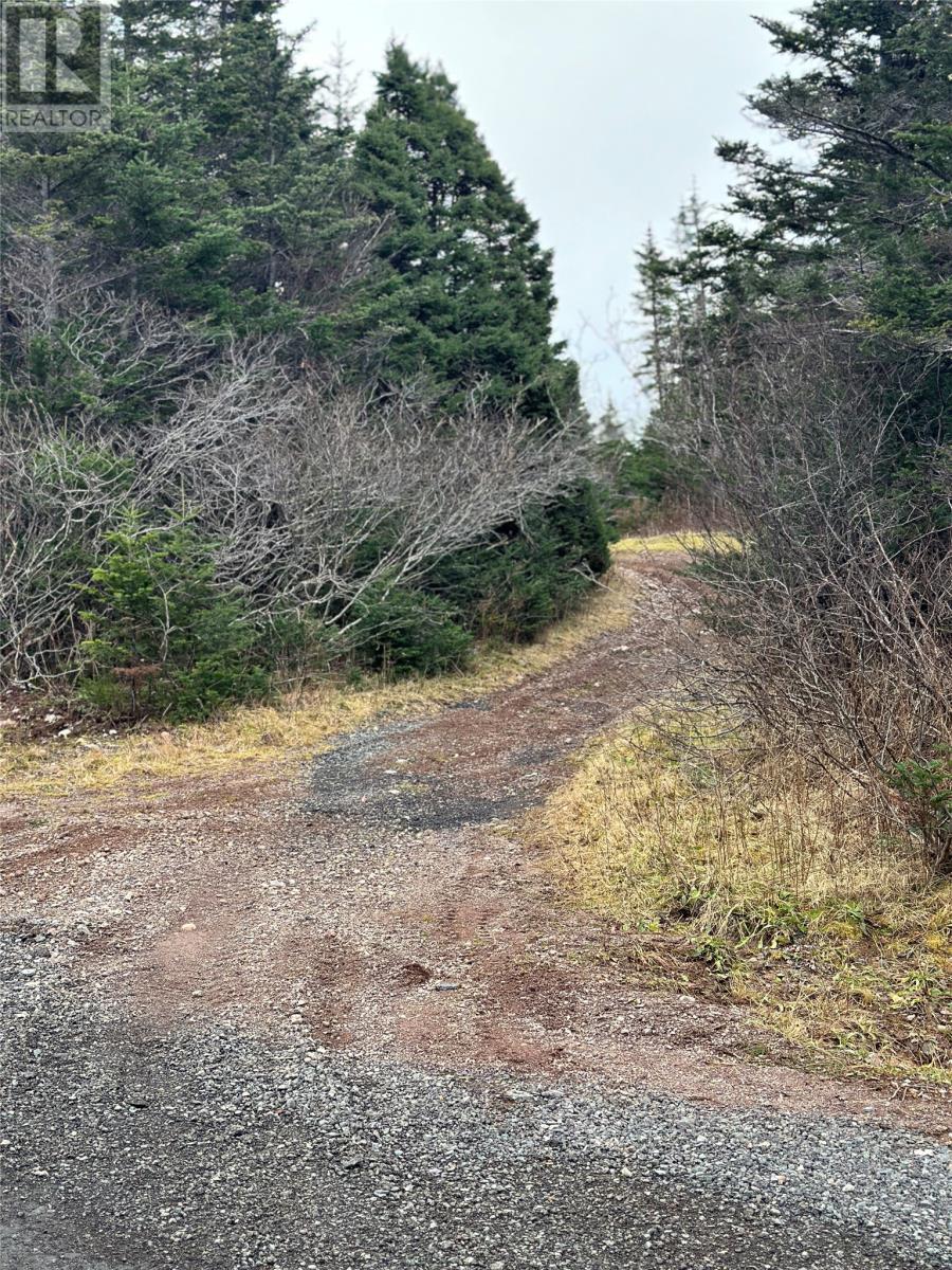 79 Markland Road, Creston South, Newfoundland & Labrador  A0E 1K0 - Photo 8 - 1280492