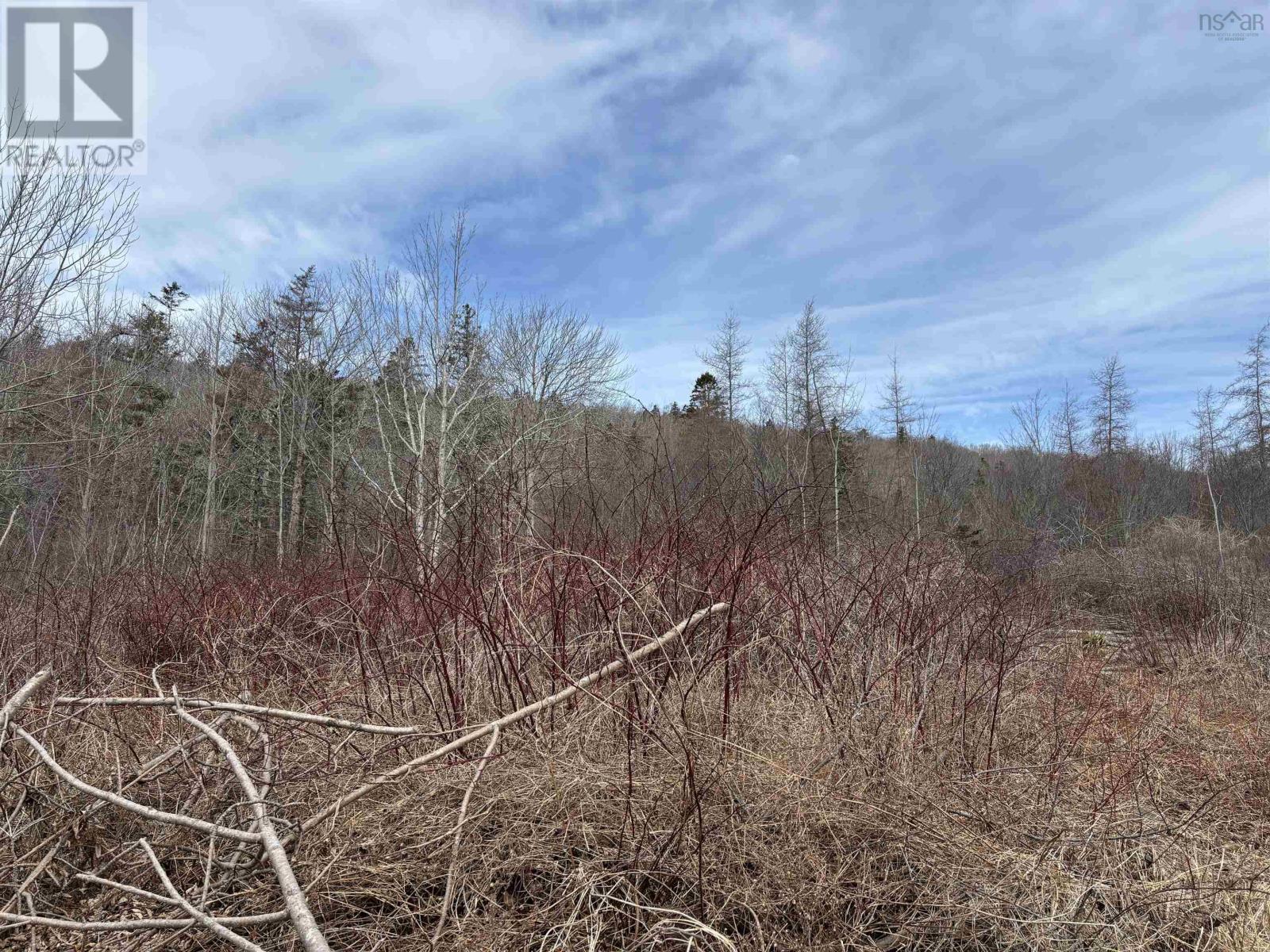 Culloden Road, Mount Pleasant, Nova Scotia  B0V 1A0 - Photo 10 - 202506377