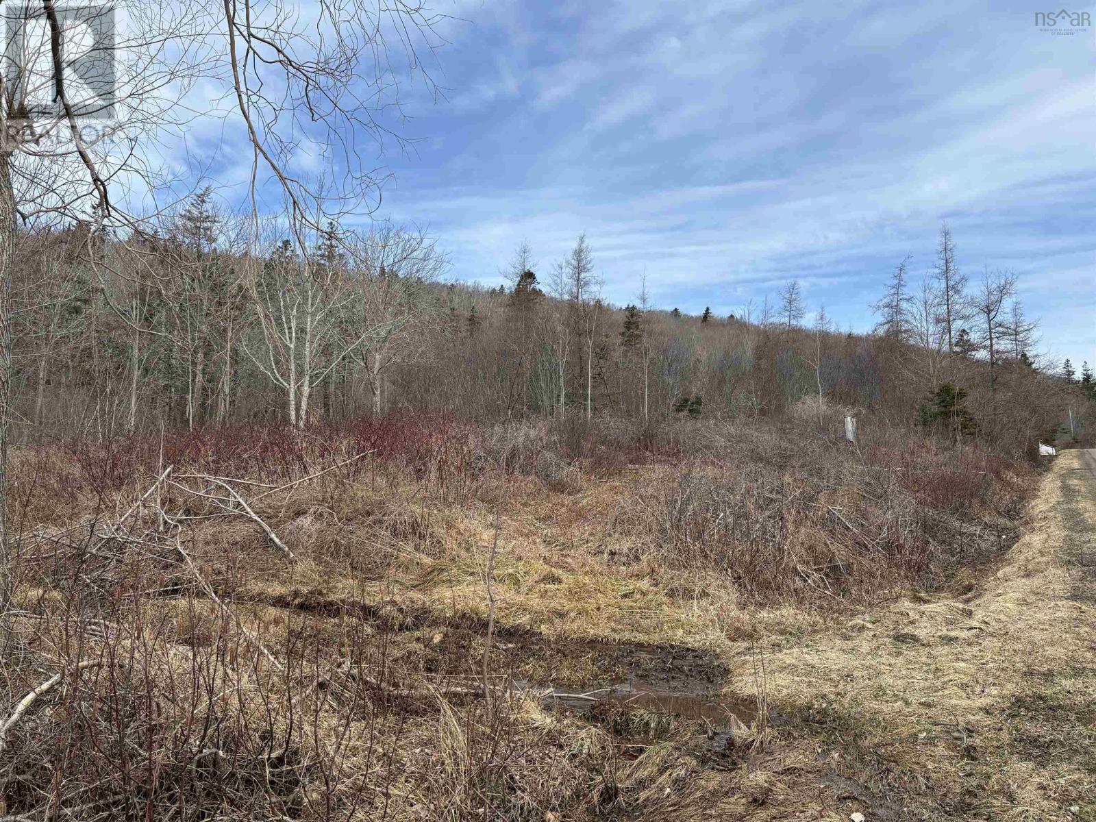 Culloden Road, Mount Pleasant, Nova Scotia  B0V 1A0 - Photo 11 - 202506377