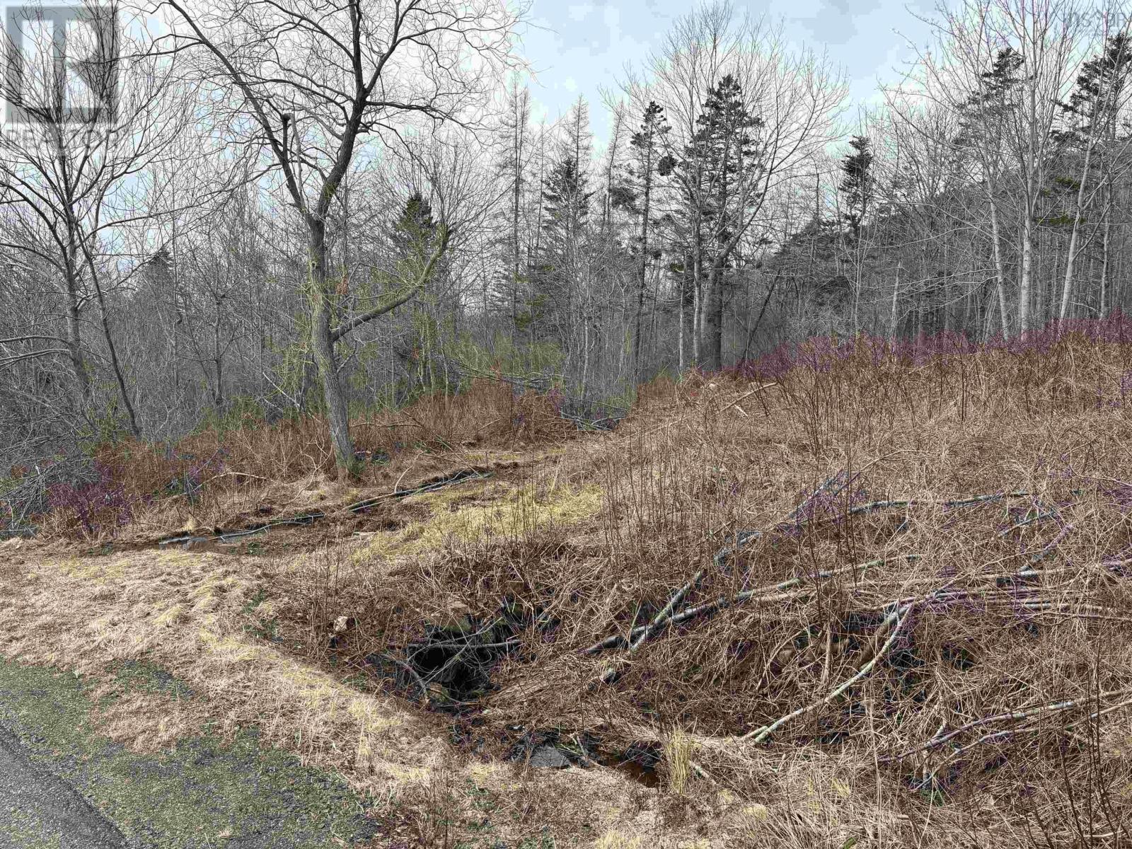 Culloden Road, Mount Pleasant, Nova Scotia  B0V 1A0 - Photo 3 - 202506377