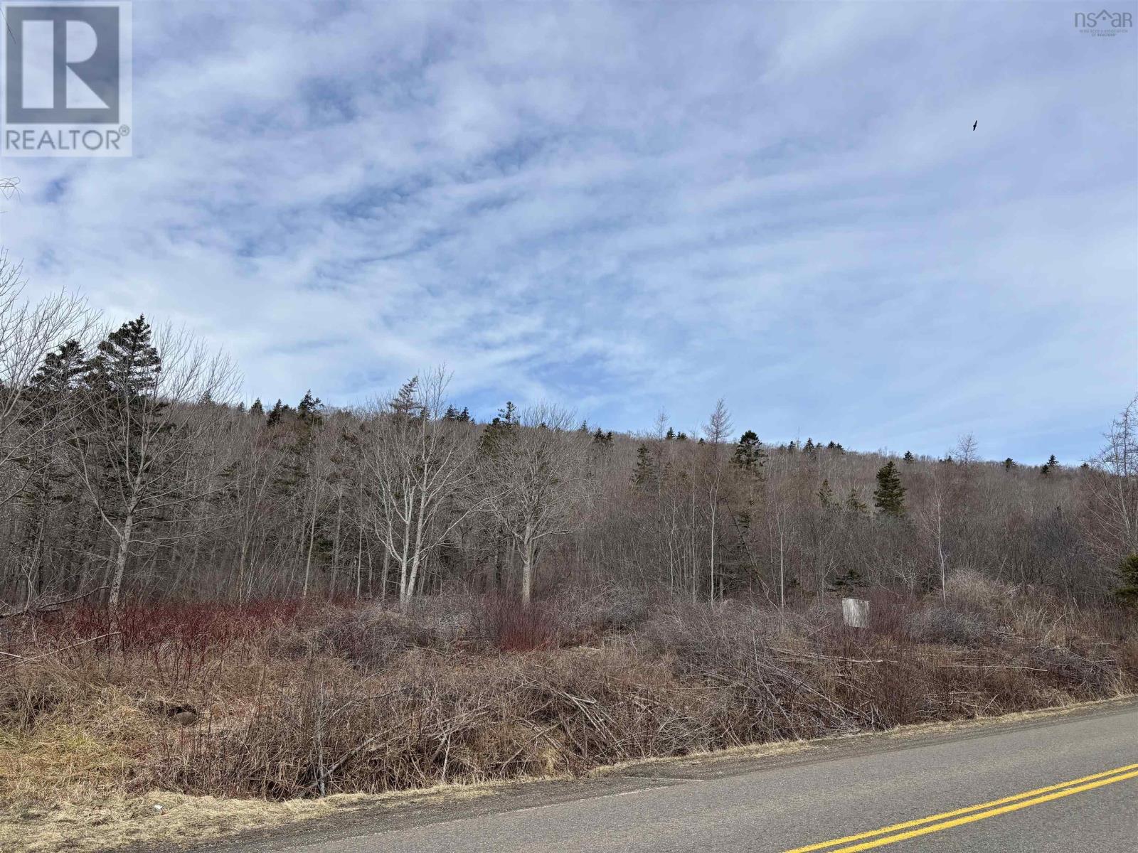 Culloden Road, Mount Pleasant, Nova Scotia  B0V 1A0 - Photo 4 - 202506377