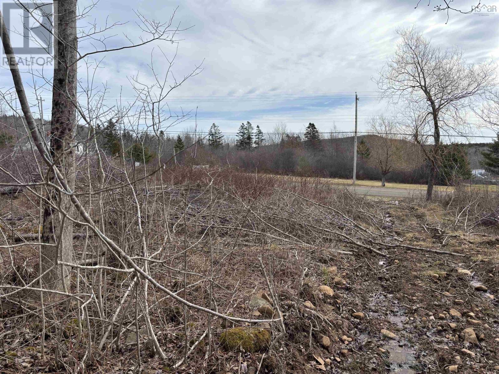 Culloden Road, Mount Pleasant, Nova Scotia  B0V 1A0 - Photo 7 - 202506377