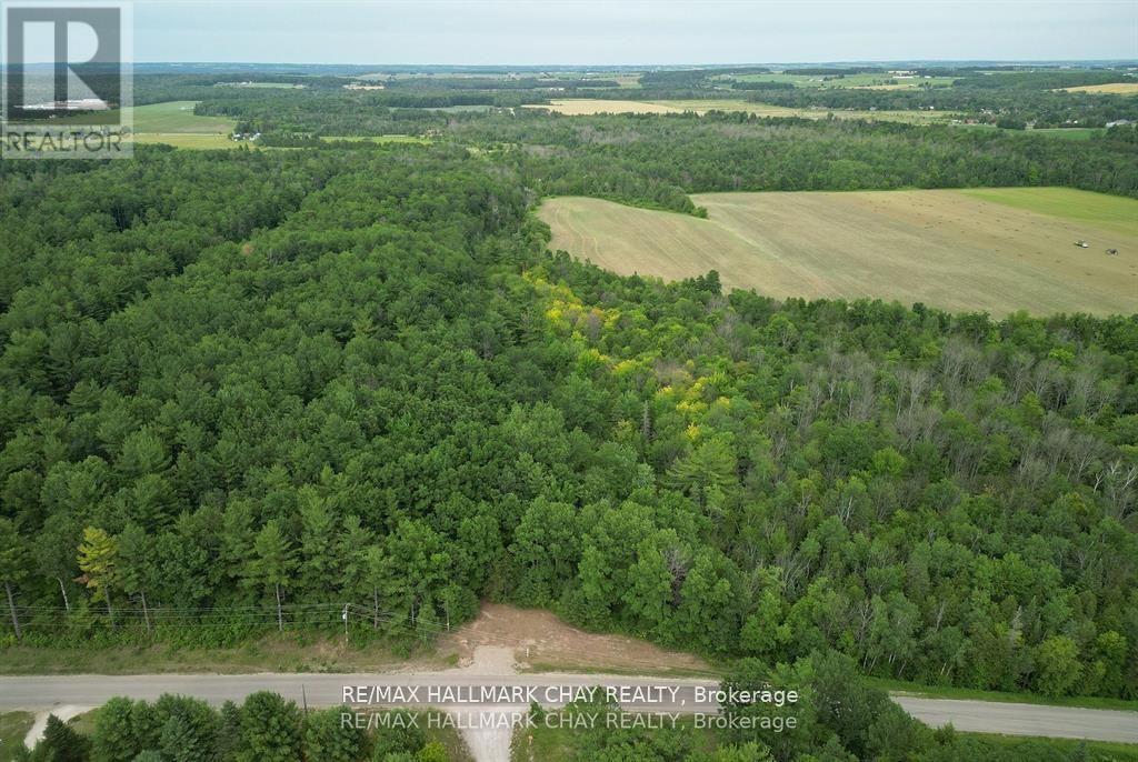 6411 Concession 4 Road, Adjala-Tosorontio, Ontario  L0M 1J0 - Photo 10 - N12053217