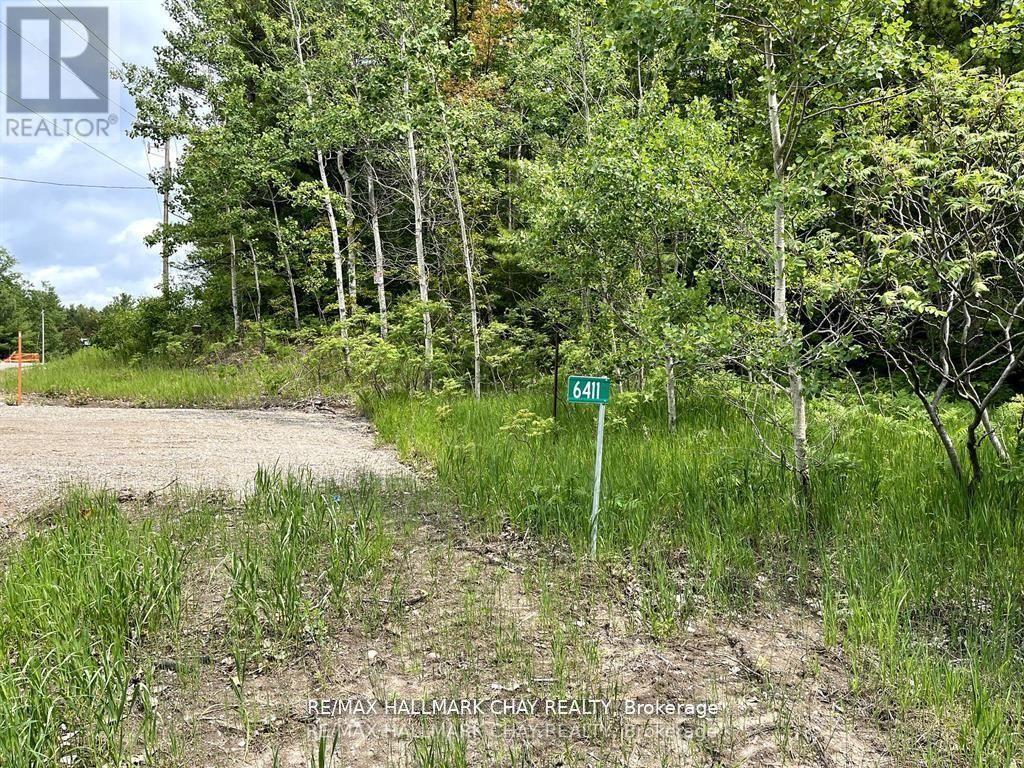6411 Concession 4 Road, Adjala-Tosorontio, Ontario  L0M 1J0 - Photo 5 - N12053217