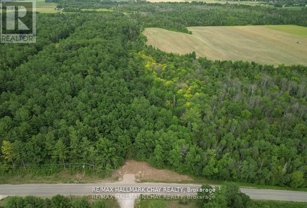 6411 Concession 4 Road, Adjala-Tosorontio, Ontario  L0M 1J0 - Photo 9 - N12053217
