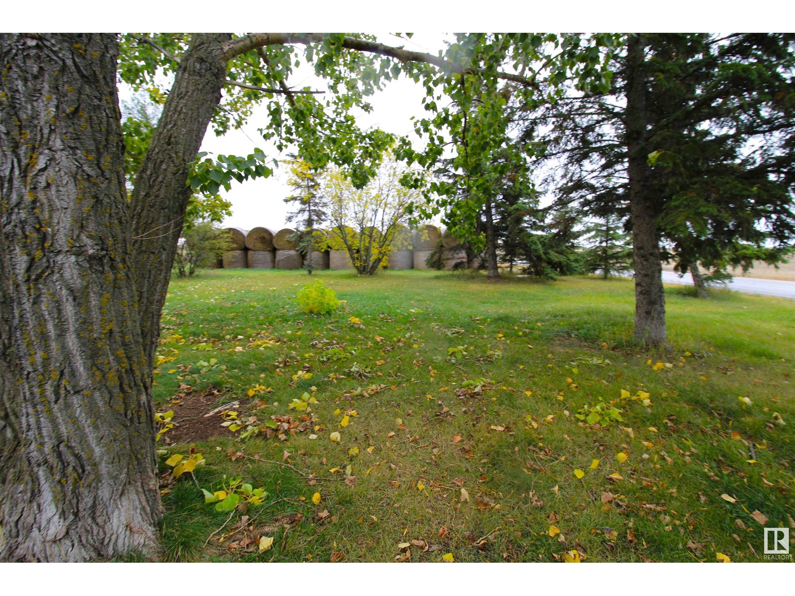 58311 Rng Rd 95, Rural St. Paul County, Alberta  T0A 3A0 - Photo 45 - E4428385