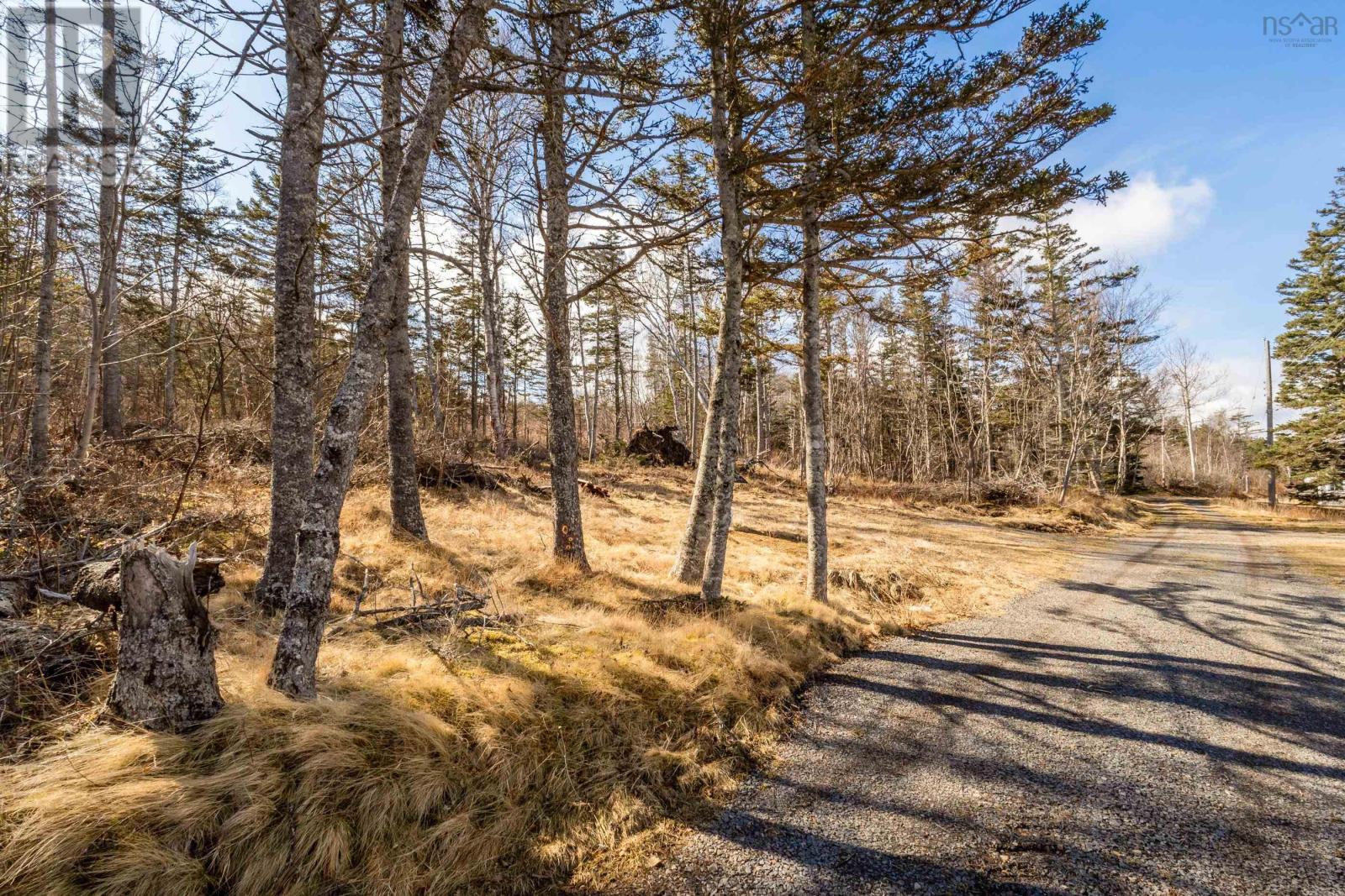 Lot Ocean View Road, Baxters Harbour, Nova Scotia  B1P 2B4 - Photo 9 - 202506378