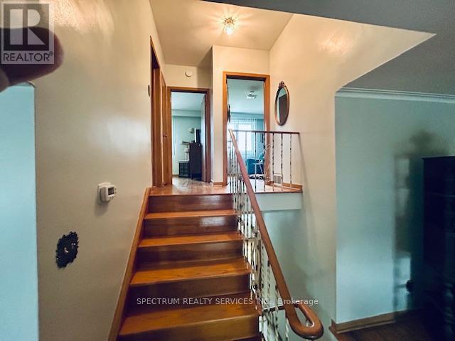 29 Whitbread Crescent, Toronto, Ontario  M3L 2A8 - Photo 8 - W12053594