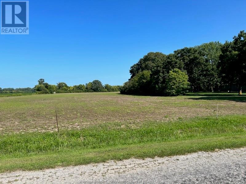 Property at 567 HENDERSON ROAD image 3