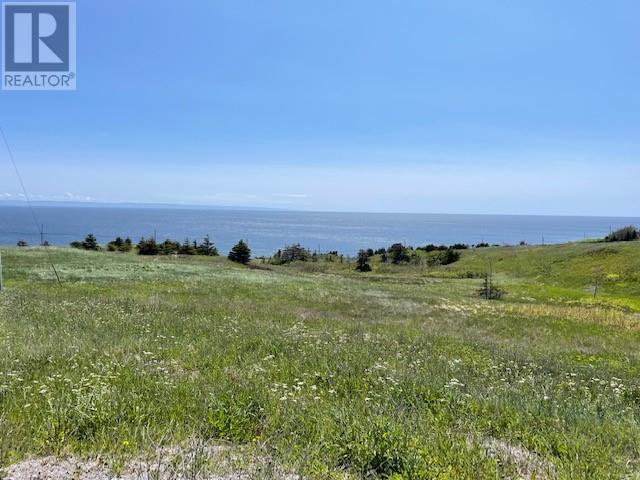 460 Main Route, Felix Cove, Newfoundland & Labrador