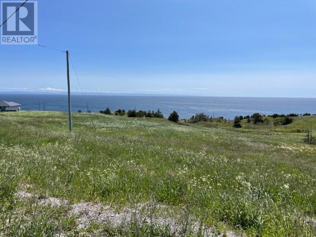 460 Main Route, Felix Cove, Newfoundland & Labrador  A0N 1T0 - Photo 4 - 1229362