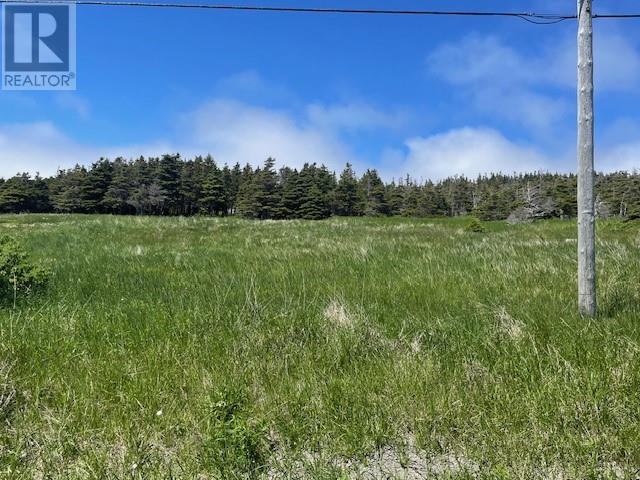 112 Felix Cove Road, Felix Cove, Newfoundland & Labrador  A0N 1T0 - Photo 2 - 1273411