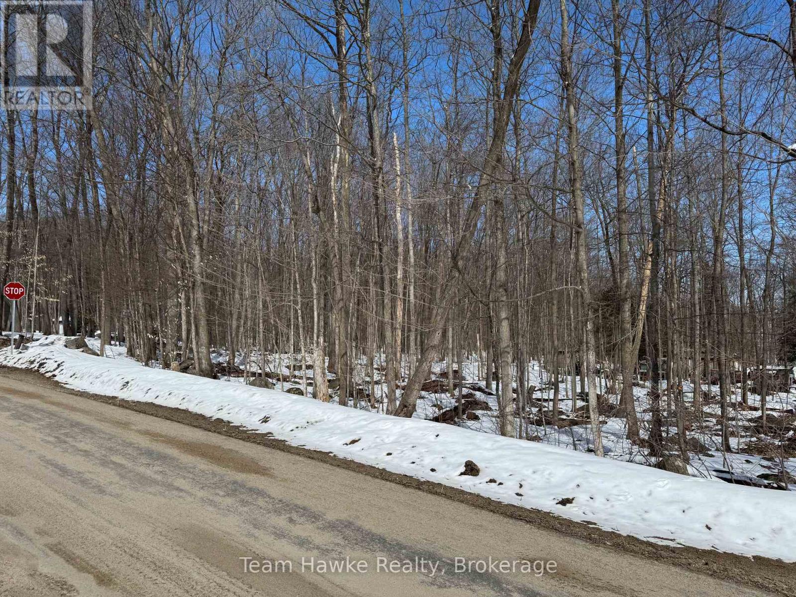 85 Polish Avenue, Penetanguishene, Ontario  L9M 1W8 - Photo 4 - S12053934