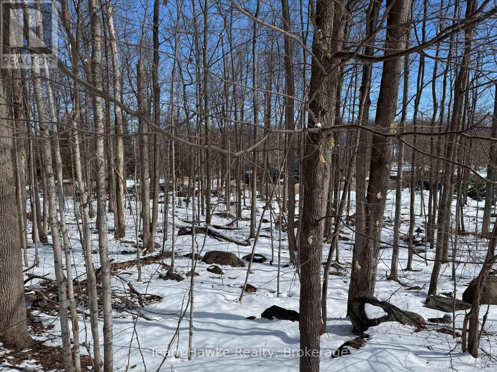 85 Polish Avenue, Penetanguishene, Ontario  L9M 1W8 - Photo 7 - S12053934