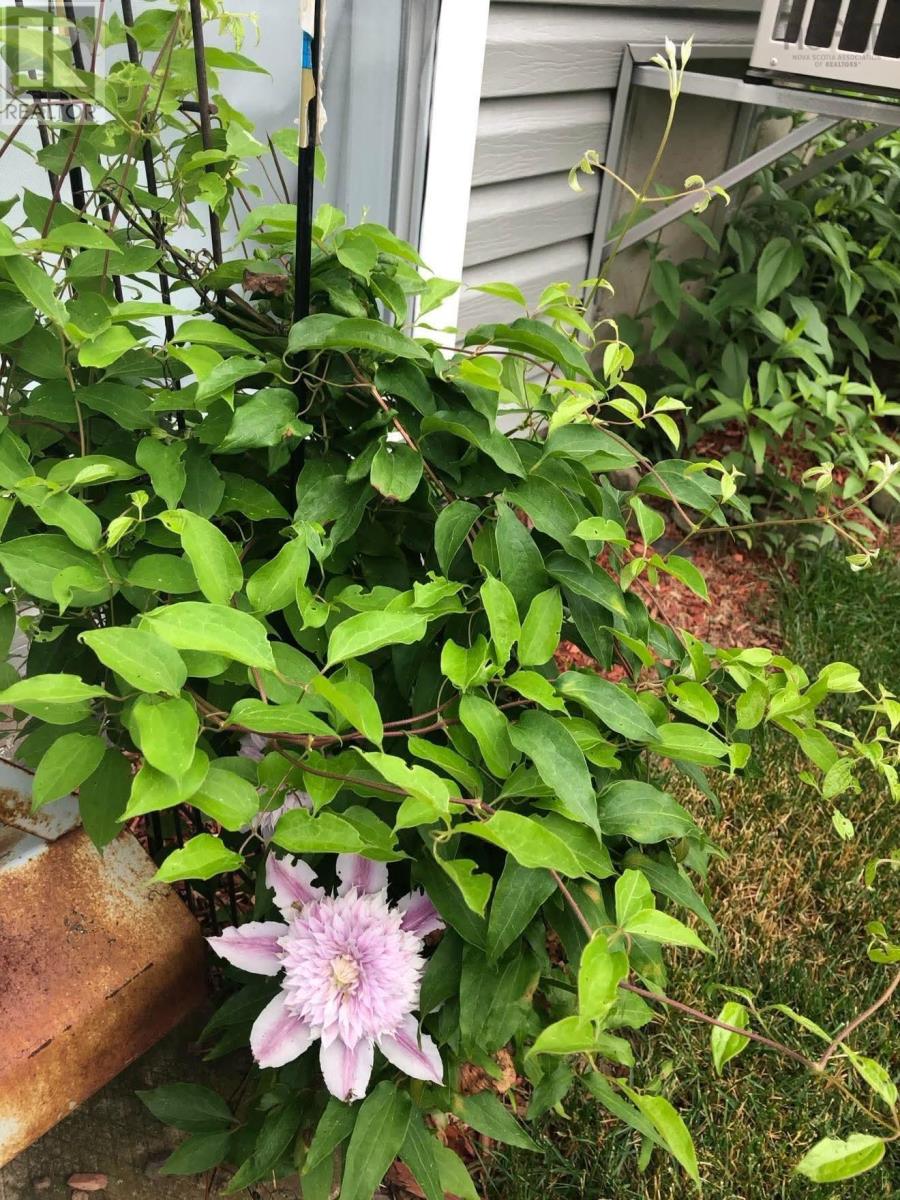 49 Woodhaven Close, Dartmouth, Nova Scotia  B2W 6P9 - Photo 35 - 202506406